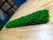Акустична Панель з Моху - Nature Green - 90x15 см