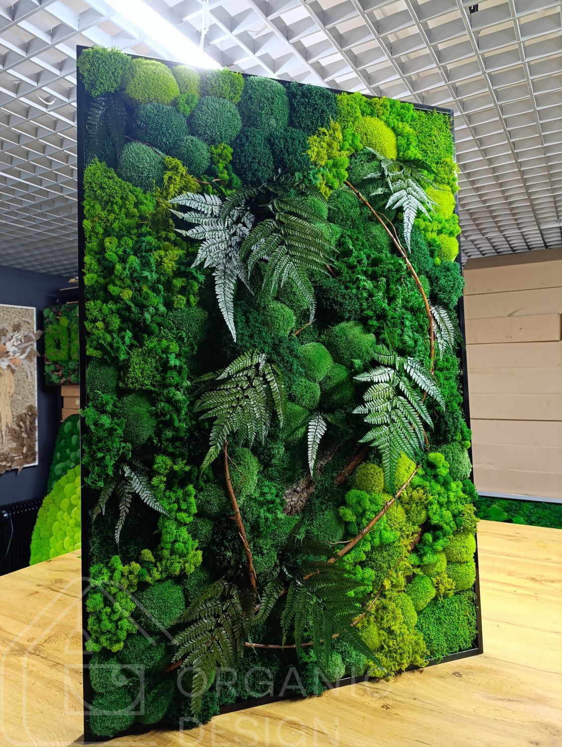 Картина з Моху - 120x60 см - Плоский Мох та Рослини - 842