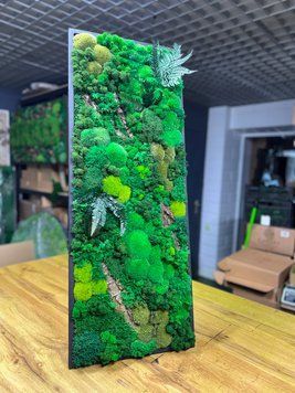 Картина з Моху - 60x40 см - Кочка та Рослини - 853