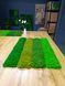 Акустическая Панель из Мха - Forest Green - 90x15 см