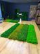 Акустическая Панель из Мха - Forest Green - 90x15 см