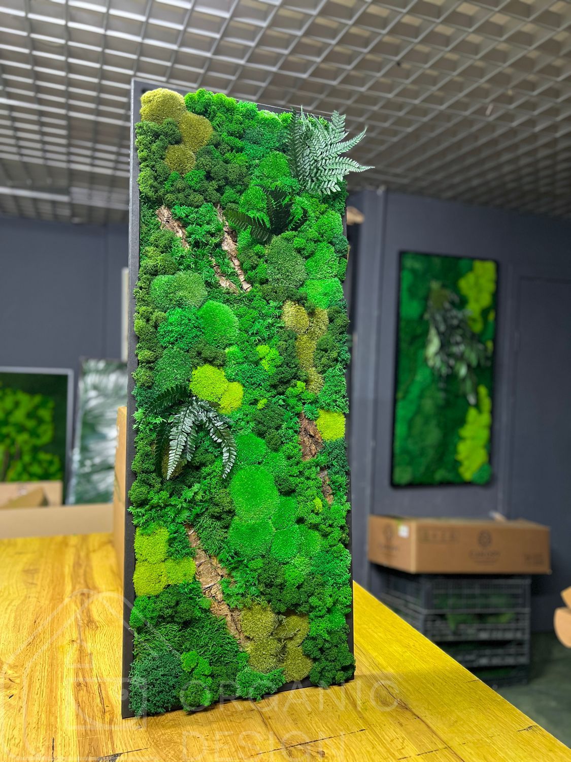 Стабілізований Мох Картина - 120x40 см - Кочка - 854