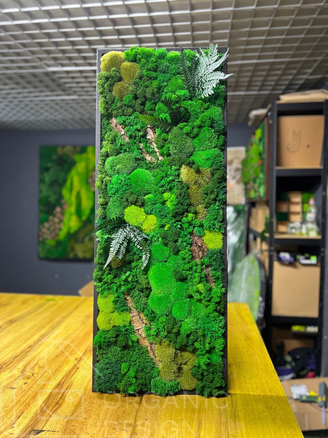 Стабілізований Мох Картина - 120x40 см - Кочка - 854