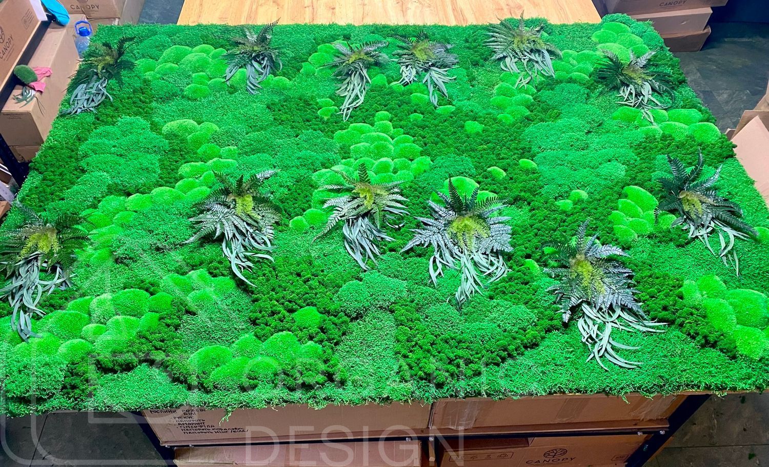 DIY Vertical Moss Greening