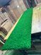 Moss Panel - Scandinavian Reindeer Moss - 200x80 cm
