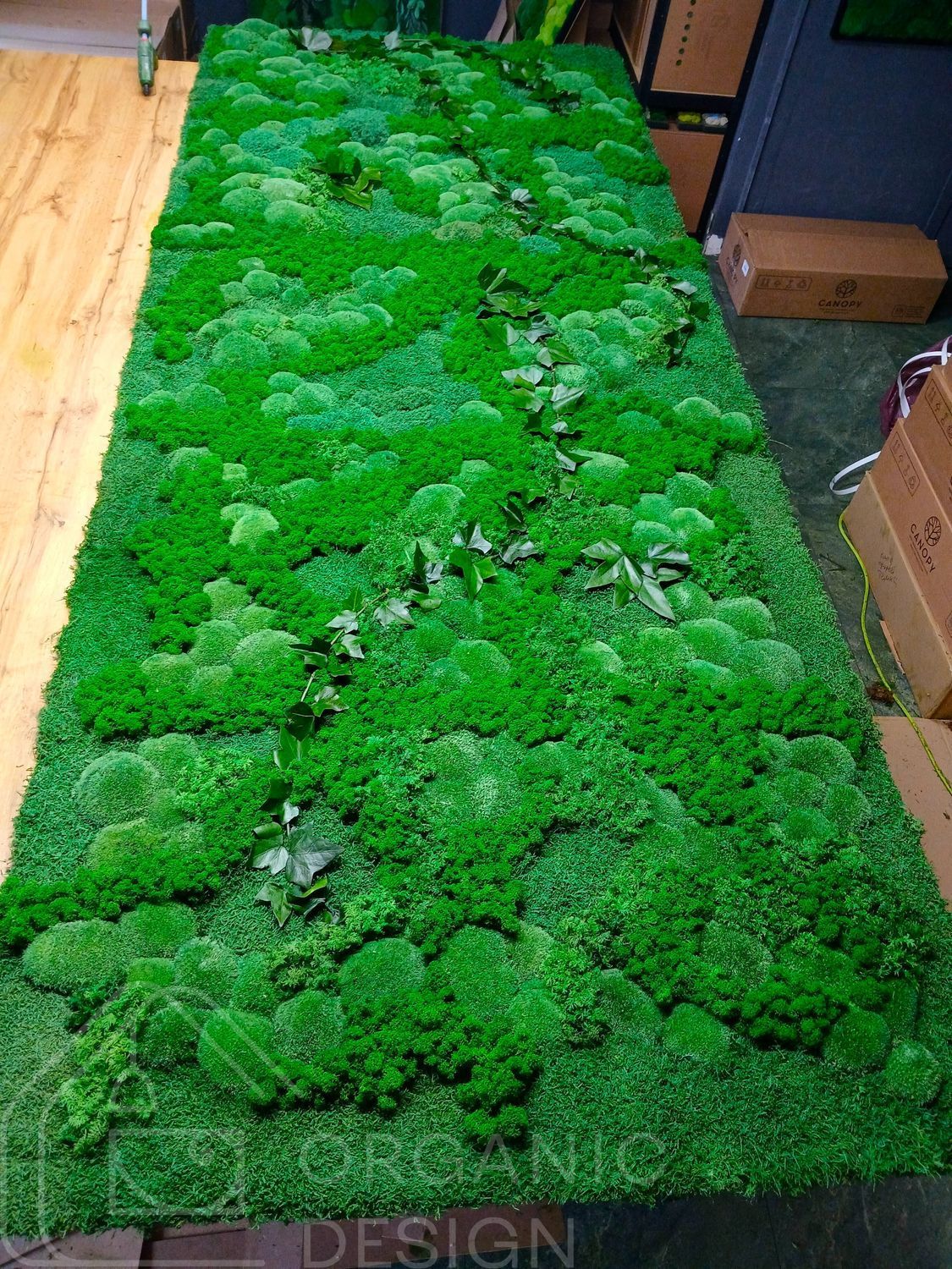 Moss Panel - Decorative Reindeer Moss - 250x80 cm