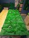 Moss Panel - Decorative Reindeer Moss - 250x80 cm