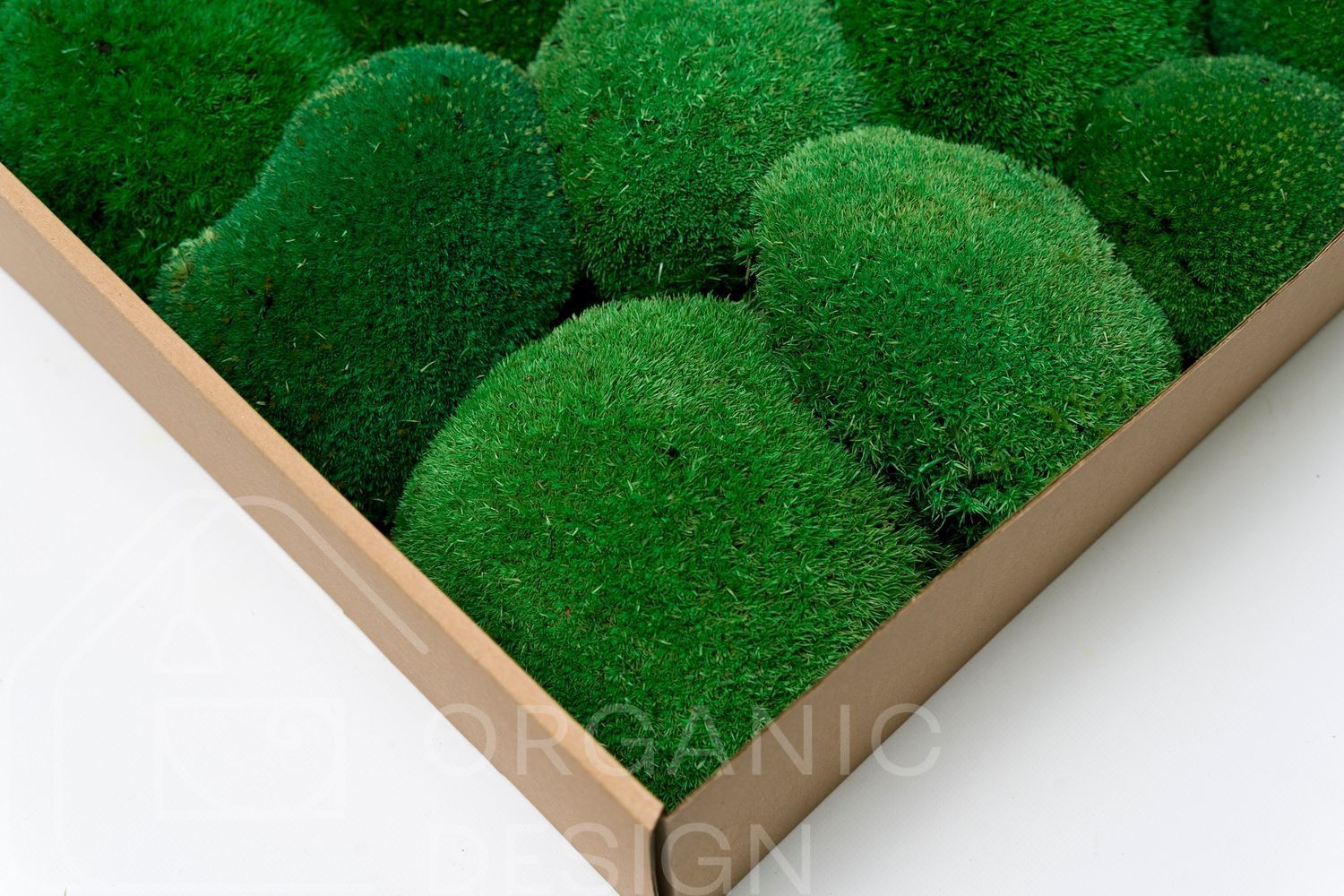 Мох Стабилизированный - Кочка - Nature Green - Коробка 38х37х9 см