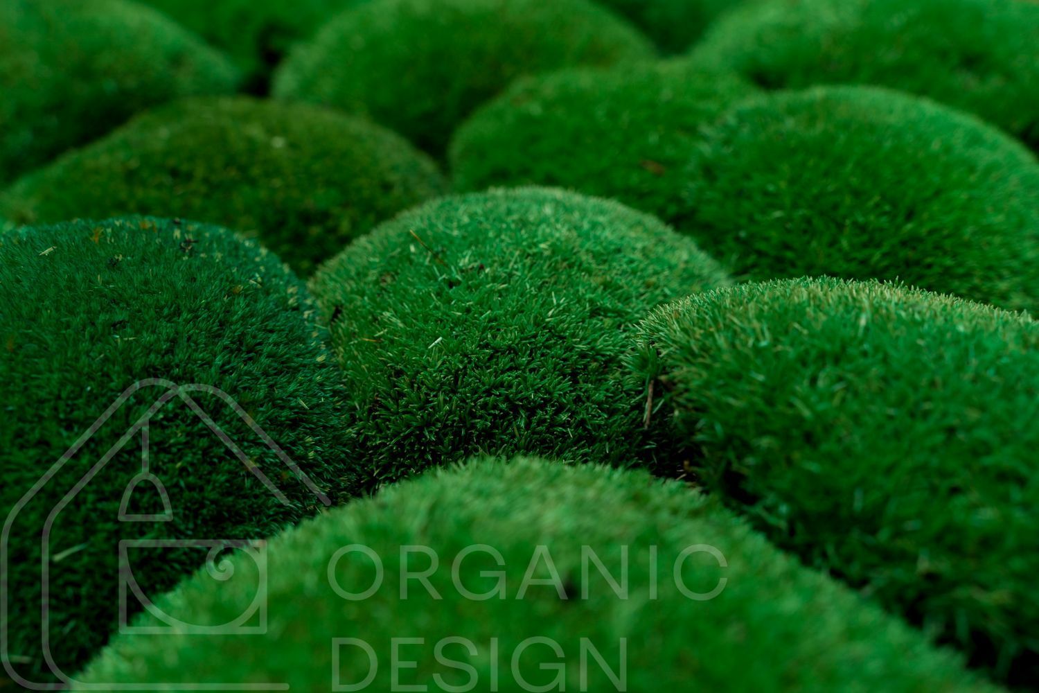 Мох Стабилизированный - Кочка - Nature Green - Коробка 38х37х9 см