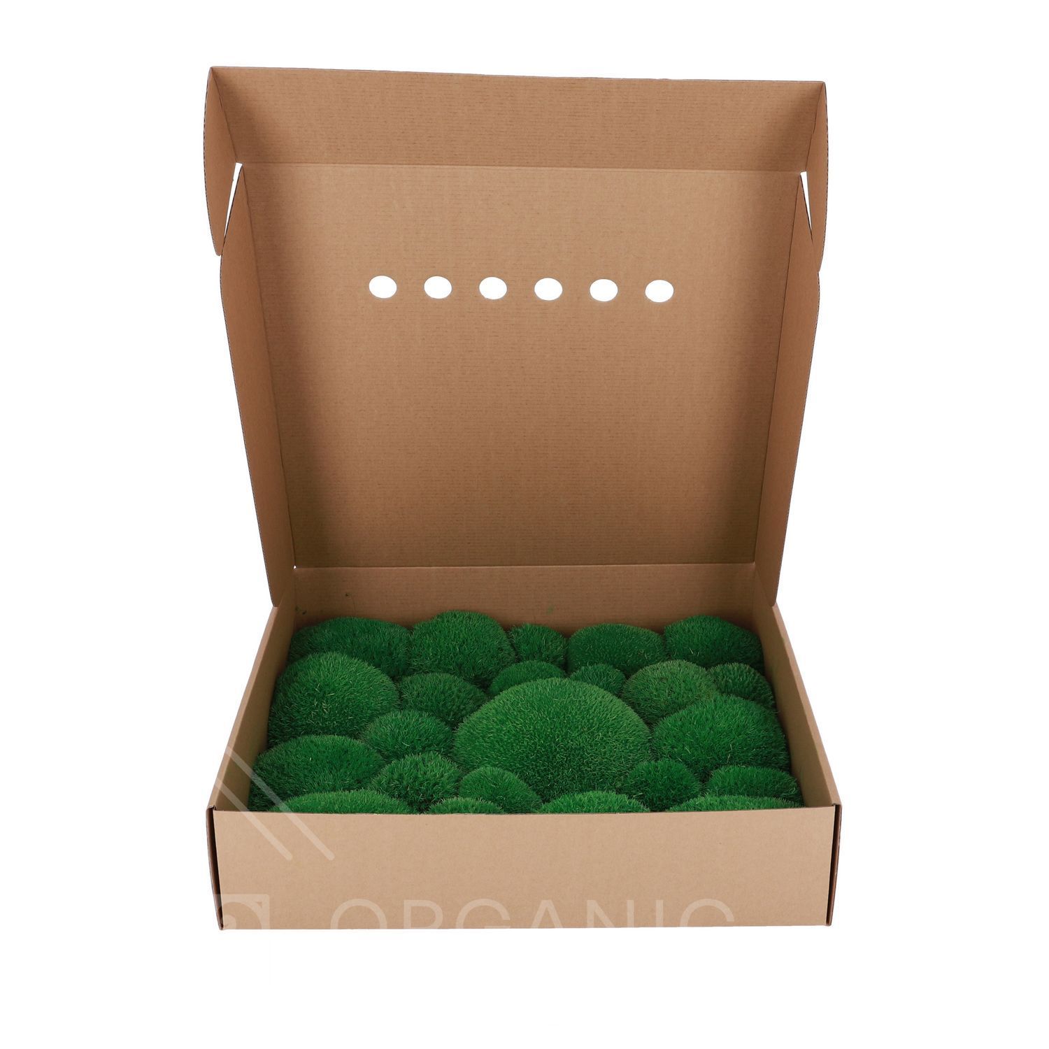 Мох Стабилизированный - Кочка - Nature Green - Коробка 38х37х9 см