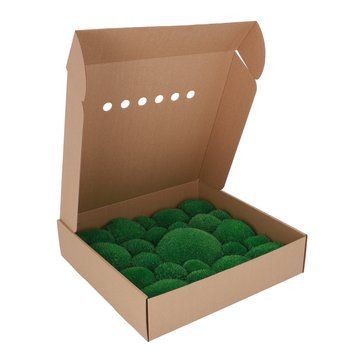 Мох Стабілізований - Кочка - Nature Green - Коробка 38х37х9 см