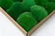 Мох Стабилизированный - Кочка - Nature Green - Коробка 38х37х9 см