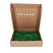 Мох Стабилизированный - Кочка - Nature Green - Коробка 38х37х9 см
