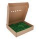 Мох Стабилизированный - Кочка - Nature Green - Коробка 38х37х9 см