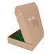 Мох Стабилизированный - Кочка - Nature Green - Коробка 38х37х9 см