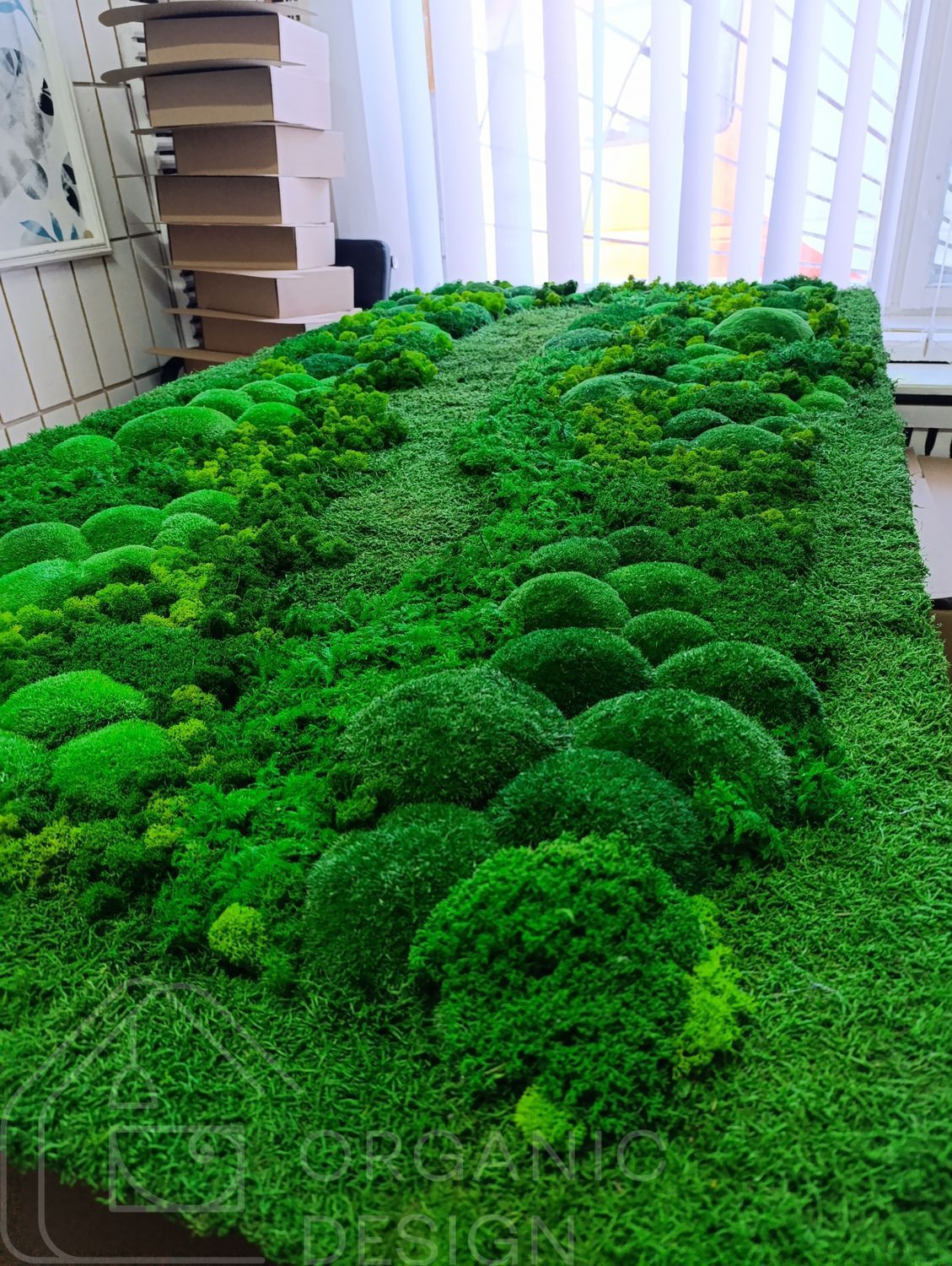 Moss Panel - Decorative Moss - 160x80 cm