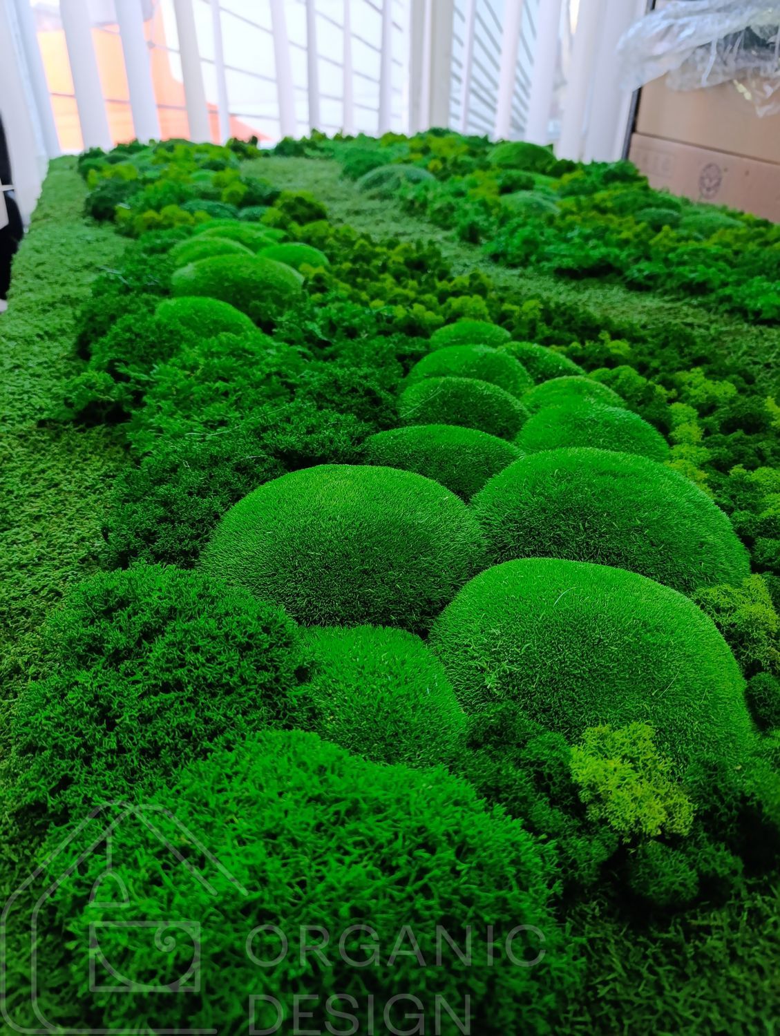 Moss Panel - Decorative Moss - 160x80 cm