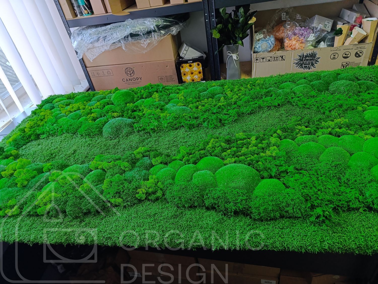 Moss Panel - Decorative Moss - 160x80 cm