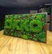 Логотип из Мха - 120x60 см - Декоративный Мох