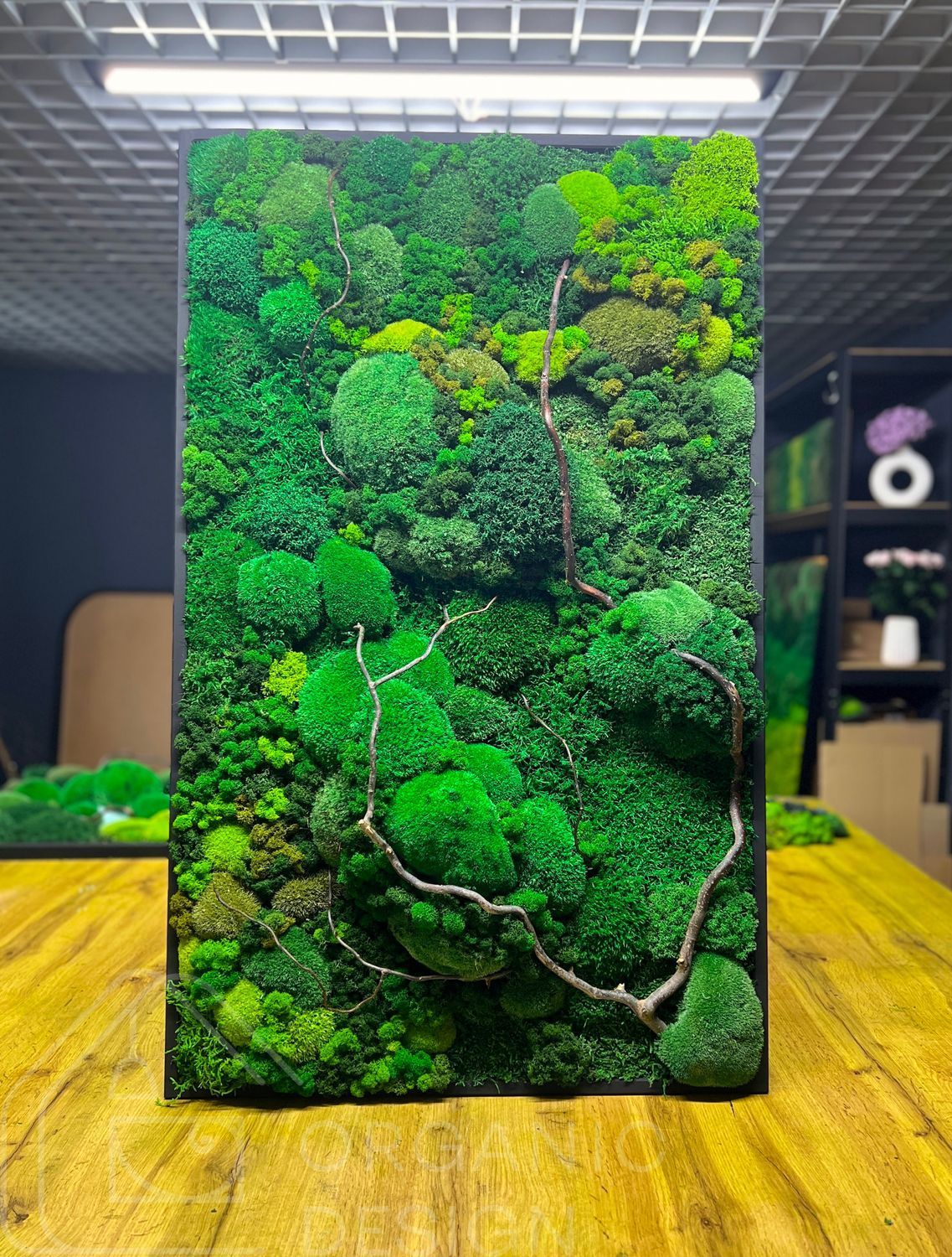 Мохова Картина &mdash; 120x60 см