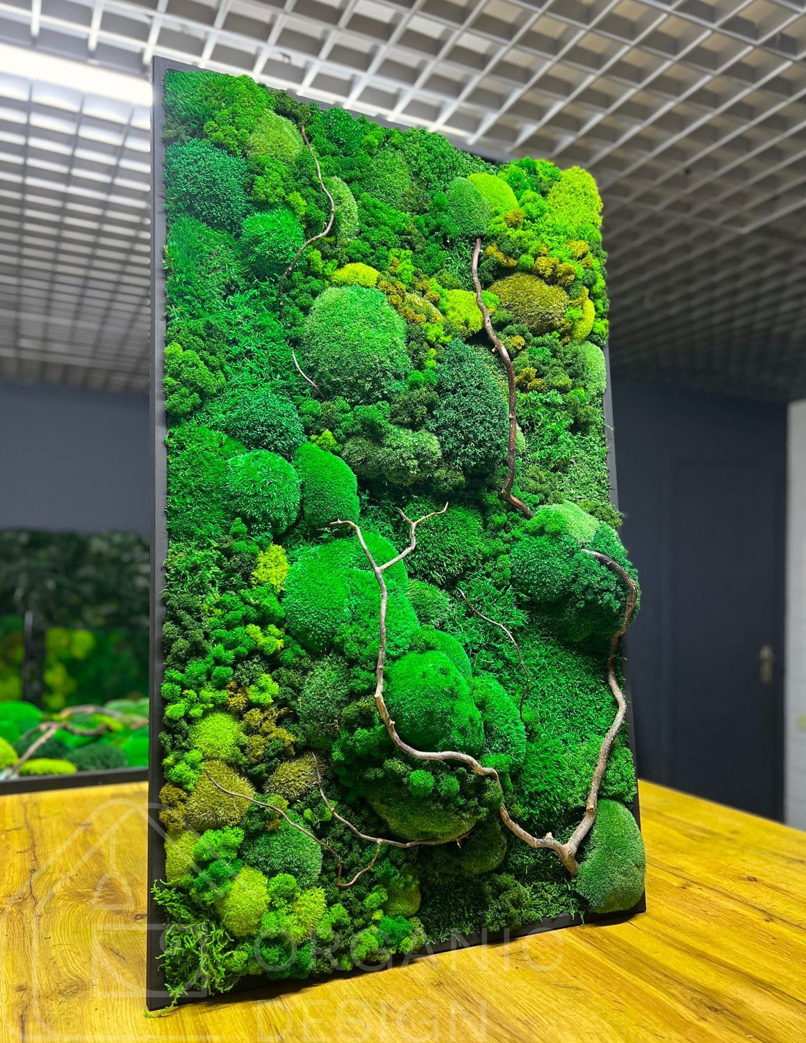 Мохова Картина &mdash; 120x60 см