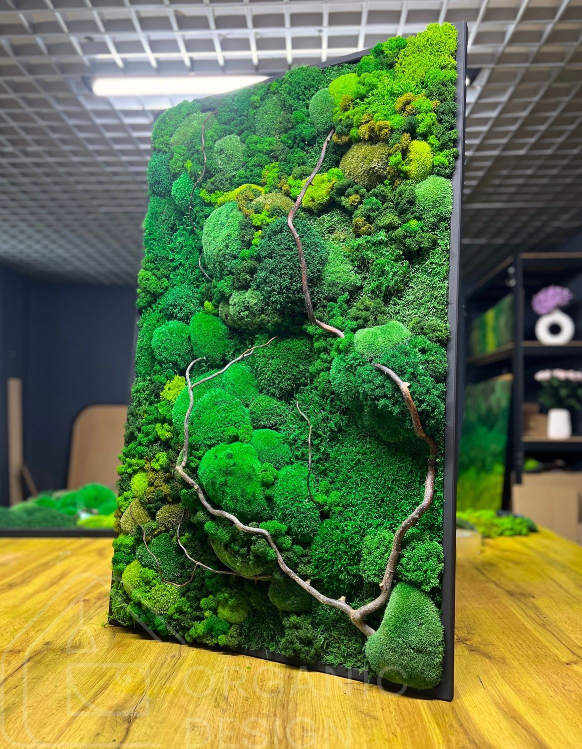 Мохова Картина &mdash; 120x60 см