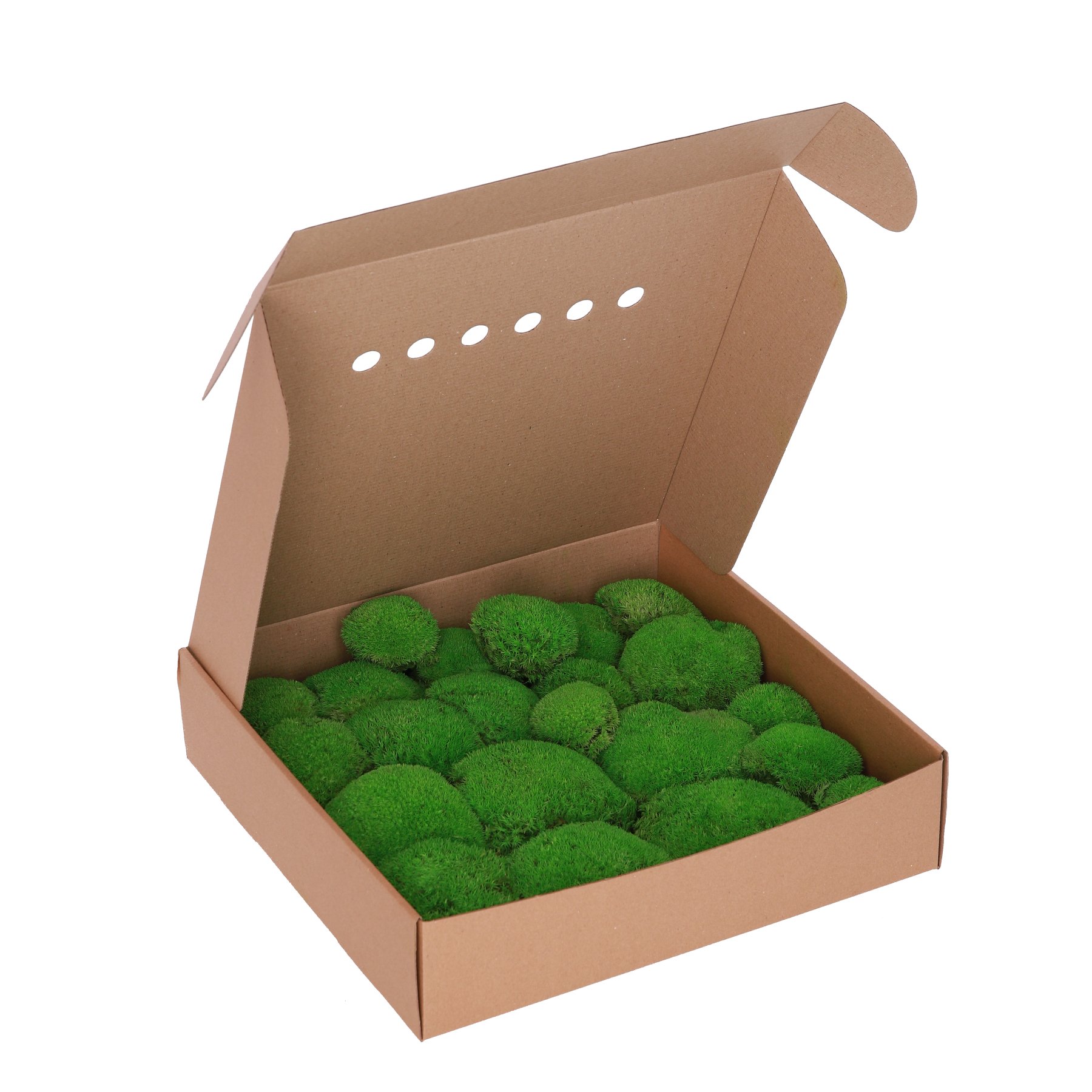 Стабілізований мох - Кочка - 1 кг - Light Green - 0,15 м2