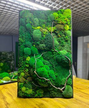 Мохова Картина &mdash; 120x60 см