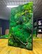 Мохова Картина &mdash; 120x60 см