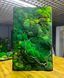 Мохова Картина &mdash; 120x60 см