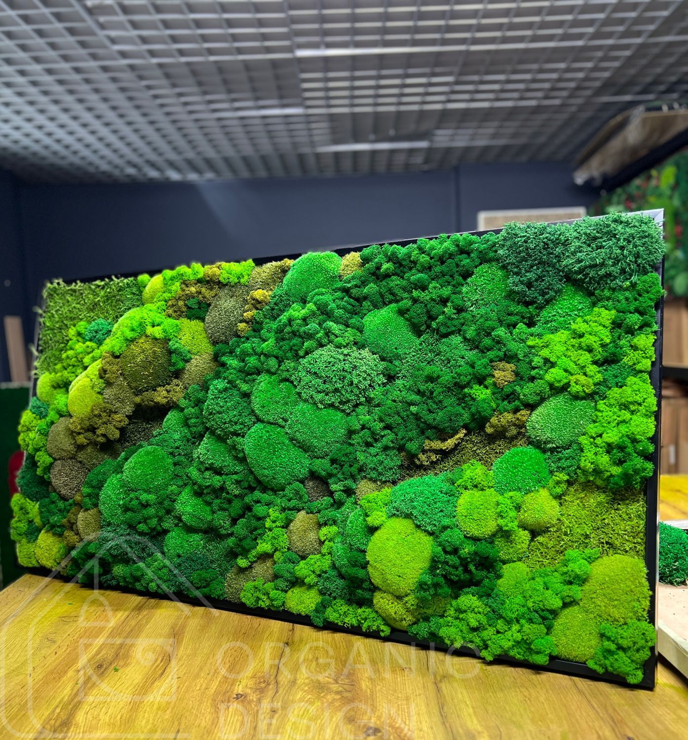 Настенная Картина из Мха &mdash; 90x60 см - Ягель