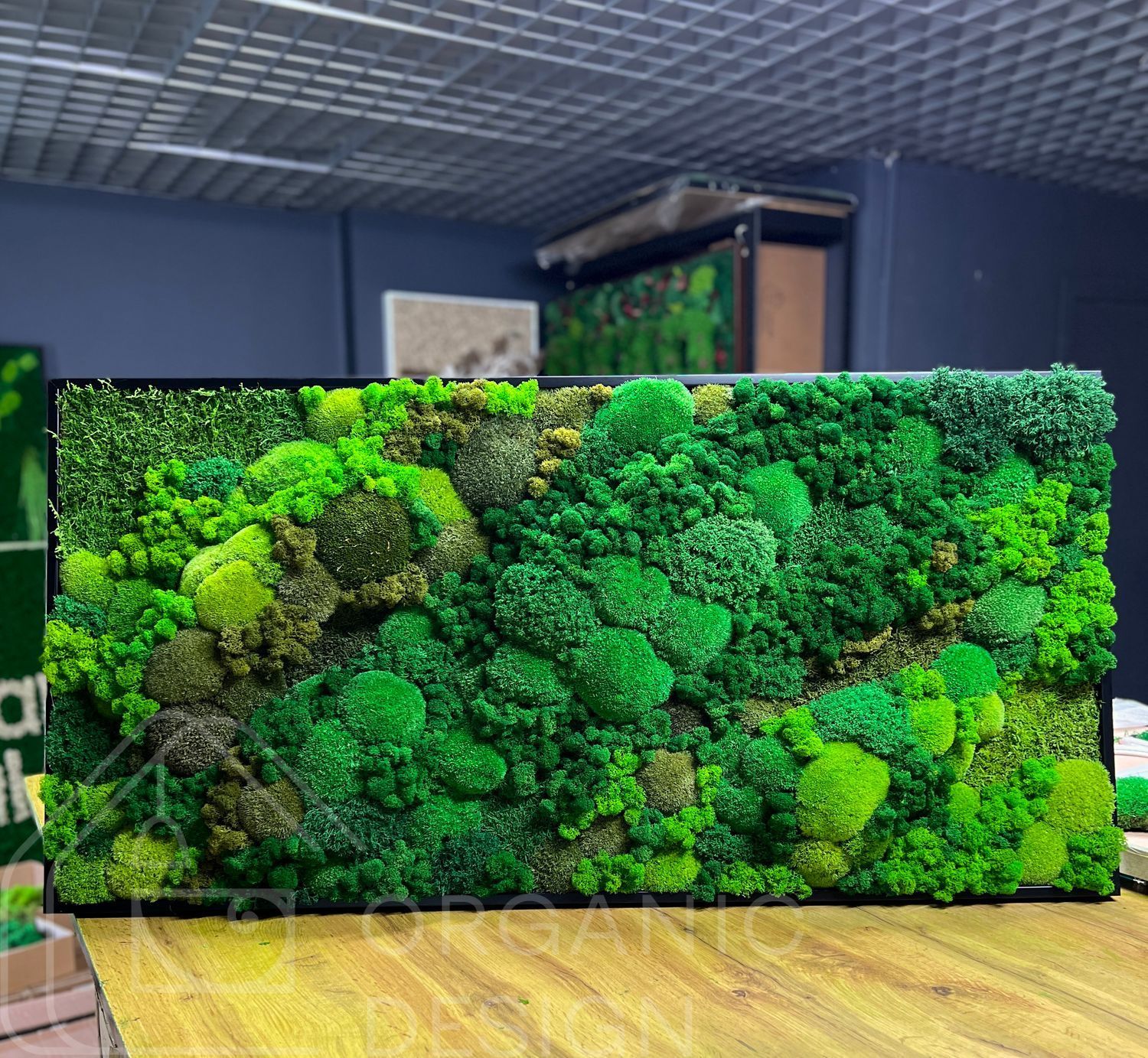 Настенная Картина из Мха &mdash; 90x60 см - Ягель