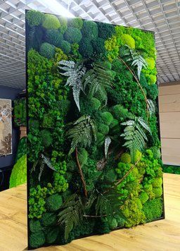 Картина з Стабілізованого Моху та Рослин - 120x60 см