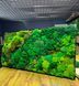Настенная Картина из Мха &mdash; 90x60 см - Ягель