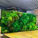Настенная Картина из Мха &mdash; 90x60 см - Ягель