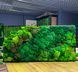 Настенная Картина из Мха &mdash; 90x60 см - Ягель