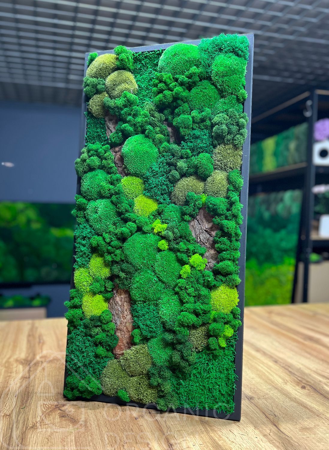 Мохова Картина &mdash; 80x40 см - Плоский Мох та Кочка