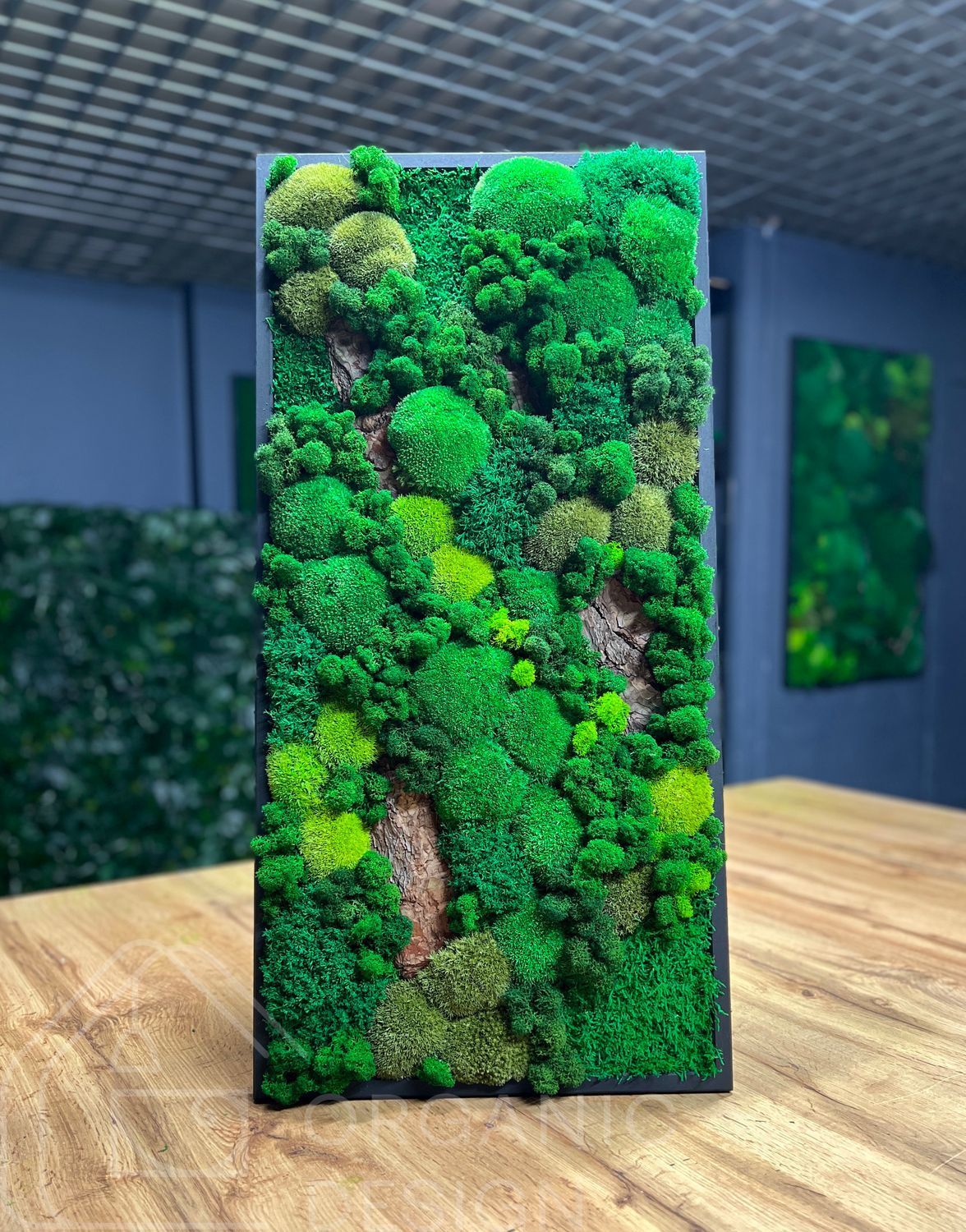 Мохова Картина &mdash; 80x40 см - Плоский Мох та Кочка