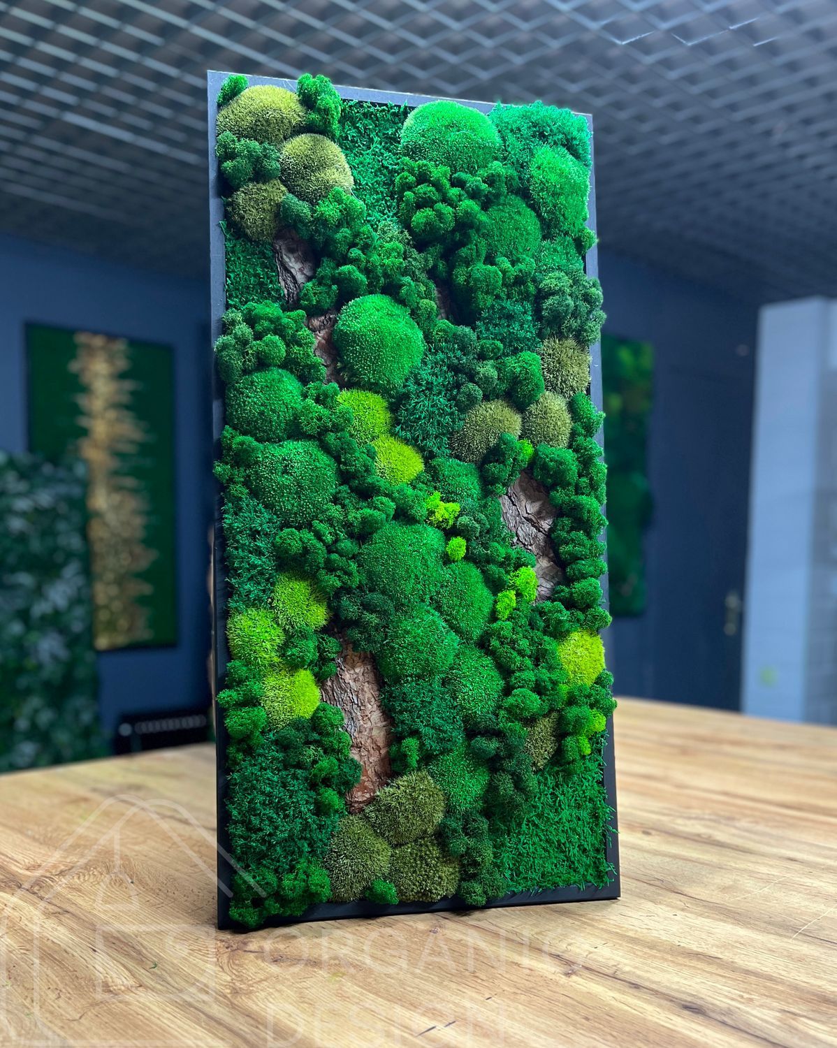 Мохова Картина &mdash; 80x40 см - Плоский Мох та Кочка