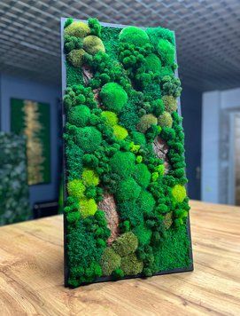 Мохова Картина &mdash; 80x40 см - Плоский Мох та Кочка