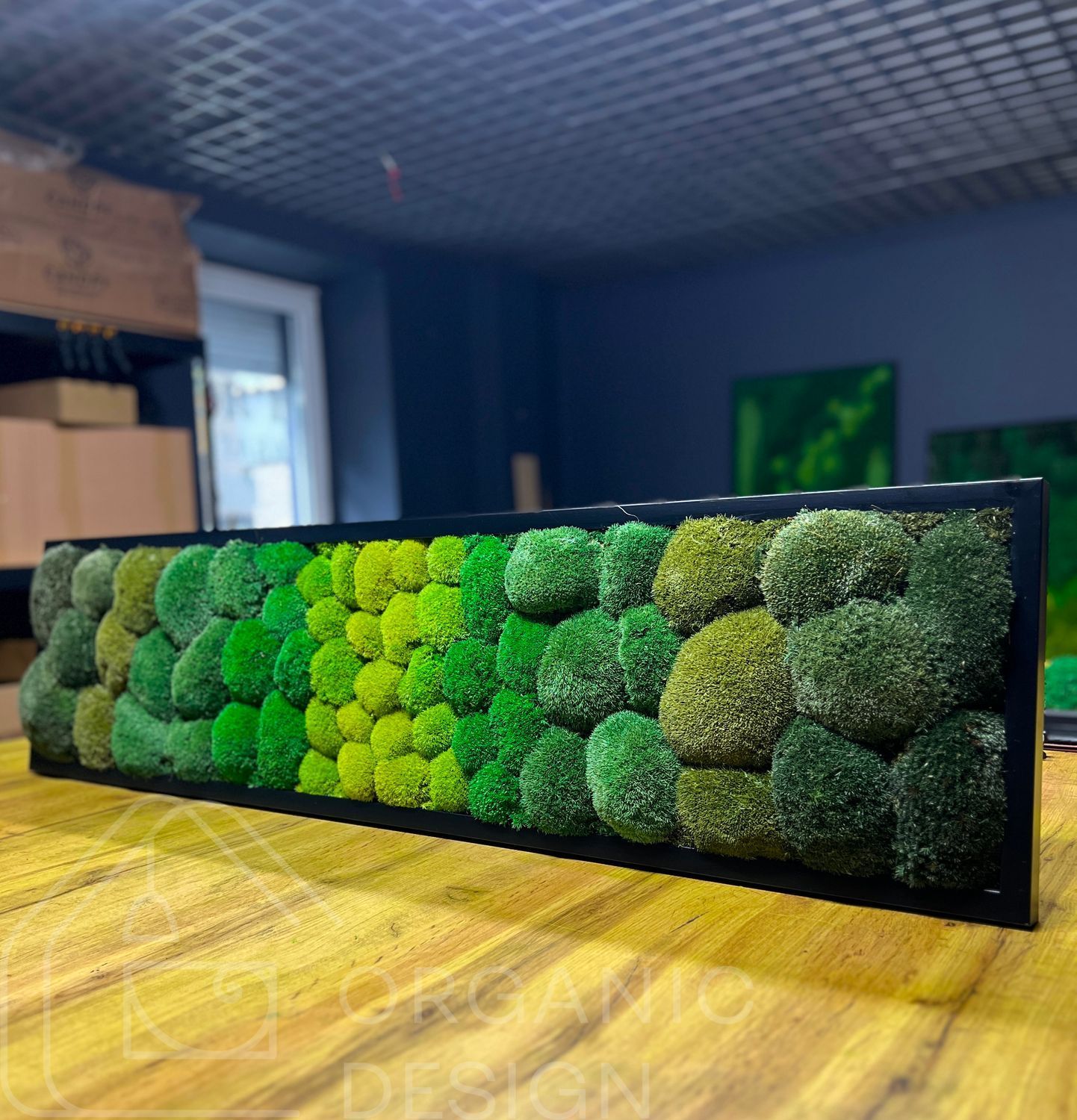 Картина з Моху &mdash; 120x30 см - Кочка
