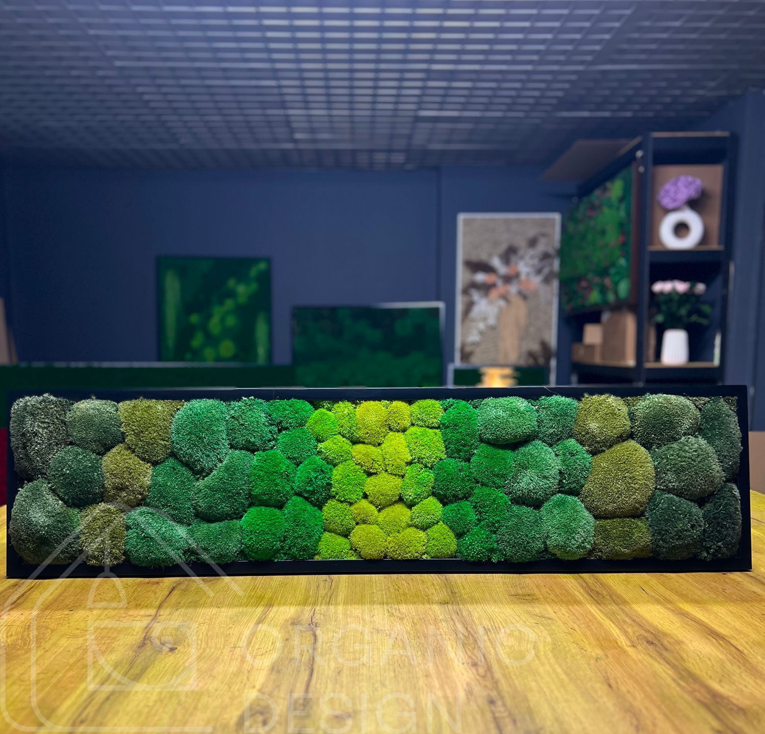 Картина з Моху &mdash; 120x30 см - Кочка