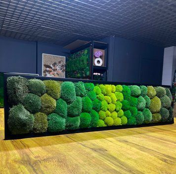 Картина з Моху &mdash; 120x30 см - Кочка