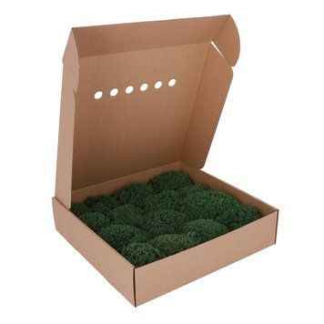 Королівський Мох - Ягель - Forest Green - Коробка 38х37х9 см