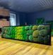 Картина з Моху &mdash; 120x30 см - Кочка