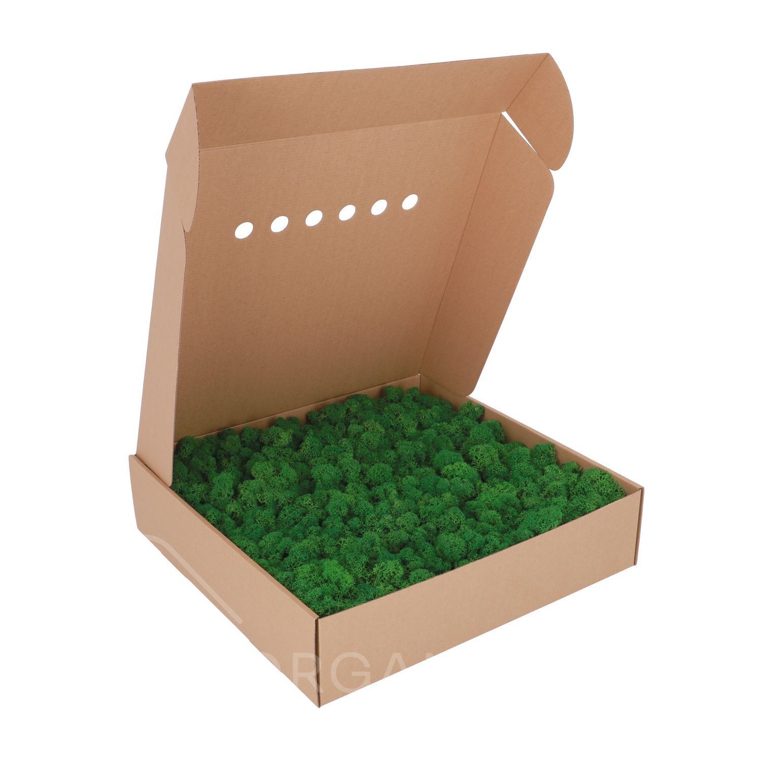 Стабілізований Мох - Ягель - 0,5 кг - Nature Green