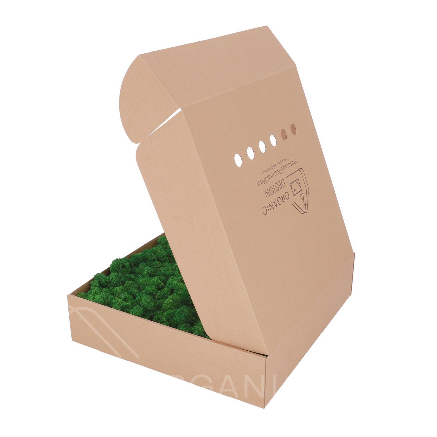 Стабілізований Мох - Ягель - 0,5 кг - Nature Green
