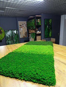 Гнучке Панно з Моху Ягель - 90&times;60 см