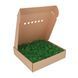 Стабілізований Мох - Ягель - 0,5 кг - Nature Green