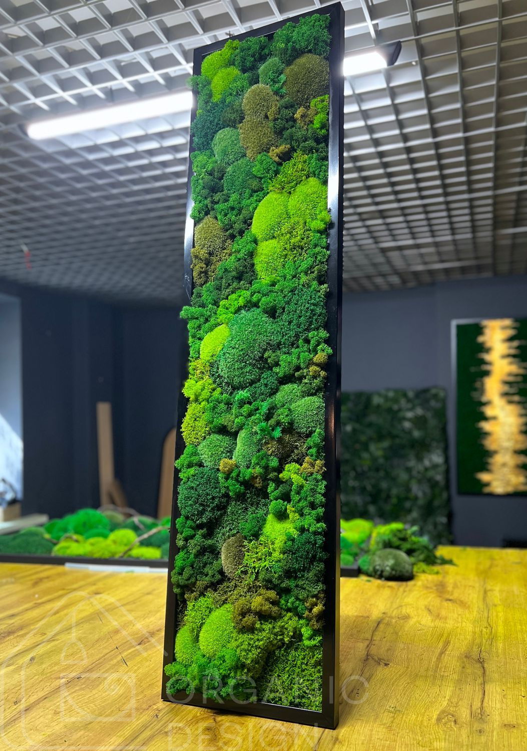 Фітокартина з Моху &mdash; 120x40 см - Кочка та Рослини